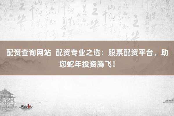 配资查询网站  配资专业之选：股票配资平台，助您蛇年投资腾飞！