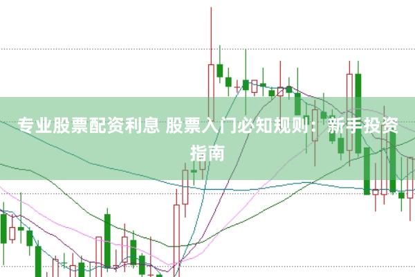 专业股票配资利息 股票入门必知规则：新手投资指南