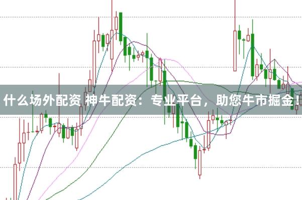 什么场外配资 神牛配资：专业平台，助您牛市掘金！