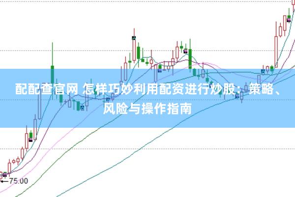 配配查官网 怎样巧妙利用配资进行炒股：策略、风险与操作指南
