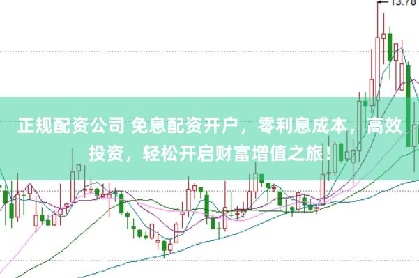 正规配资公司 免息配资开户，零利息成本，高效投资，轻松开启财富增值之旅！