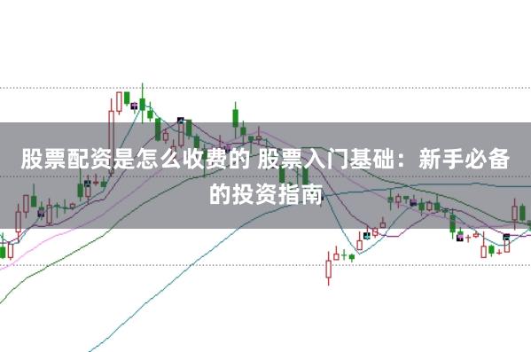 股票配资是怎么收费的 股票入门基础：新手必备的投资指南