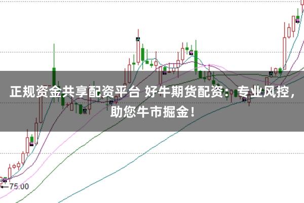 正规资金共享配资平台 好牛期货配资：专业风控，助您牛市掘金！