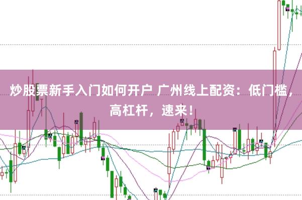 炒股票新手入门如何开户 广州线上配资：低门槛，高杠杆，速来！