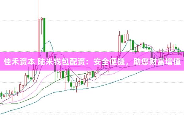 佳禾资本 陆米钱包配资：安全便捷，助您财富增值