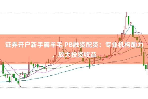 证券开户新手薅羊毛 PB融资配资：专业机构助力，放大投资收益