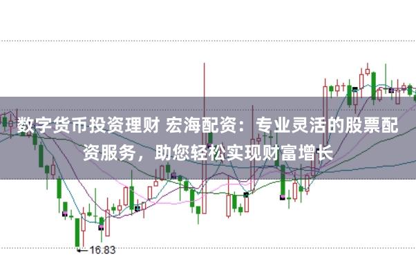 数字货币投资理财 宏海配资：专业灵活的股票配资服务，助您轻松实现财富增长