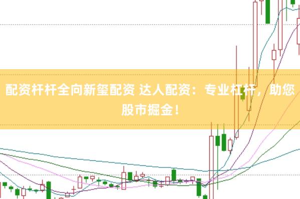 配资杆杆全向新玺配资 达人配资：专业杠杆，助您股市掘金！