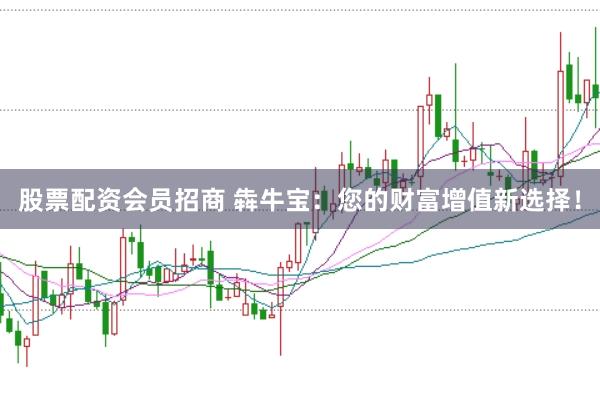 股票配资会员招商 犇牛宝：您的财富增值新选择！