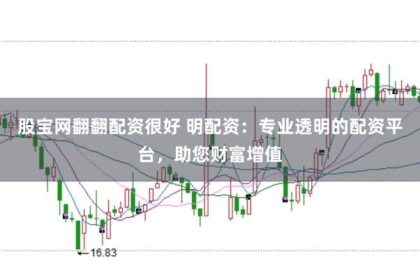 股宝网翻翻配资很好 明配资：专业透明的配资平台，助您财富增值