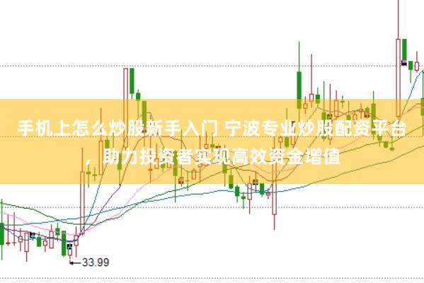 手机上怎么炒股新手入门 宁波专业炒股配资平台，助力投资者实现高效资金增值