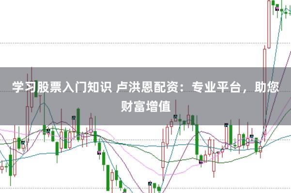学习股票入门知识 卢洪恩配资：专业平台，助您财富增值