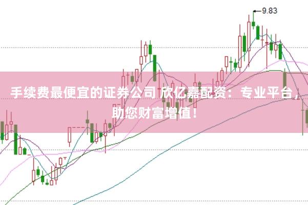 手续费最便宜的证券公司 欣亿嘉配资：专业平台，助您财富增值！