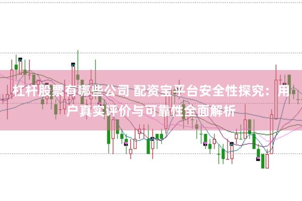 杠杆股票有哪些公司 配资宝平台安全性探究：用户真实评价与可靠性全面解析