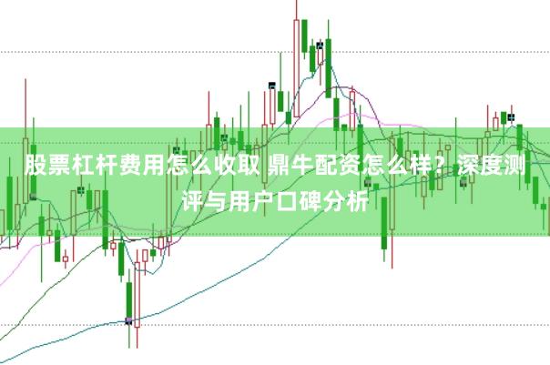 股票杠杆费用怎么收取 鼎牛配资怎么样？深度测评与用户口碑分析