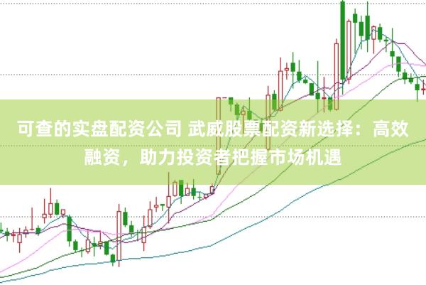 可查的实盘配资公司 武威股票配资新选择：高效融资，助力投资者把握市场机遇