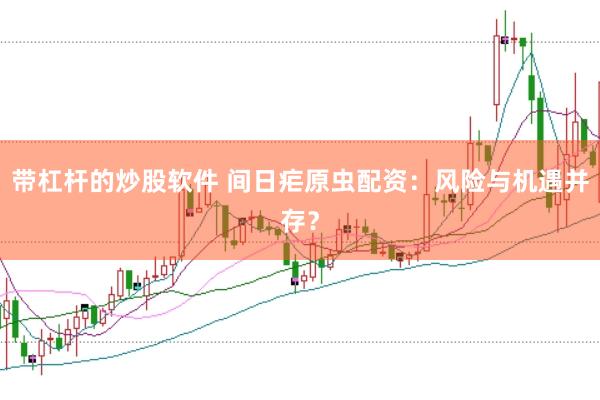带杠杆的炒股软件 间日疟原虫配资:风险与机遇并存?