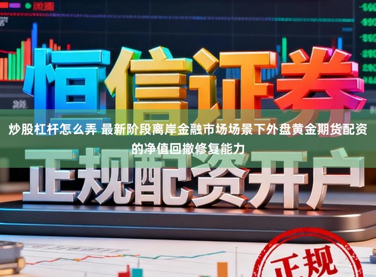 炒股杠杆怎么弄 最新阶段离岸金融市场场景下外盘黄金期货配资的净值回撤修复能力
