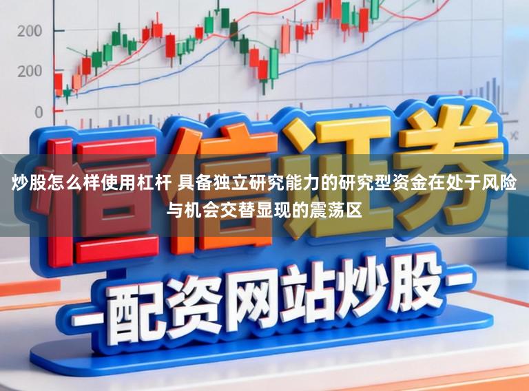 炒股怎么样使用杠杆 具备独立研究能力的研究型资金在处于风险与机会交替显现的震荡区