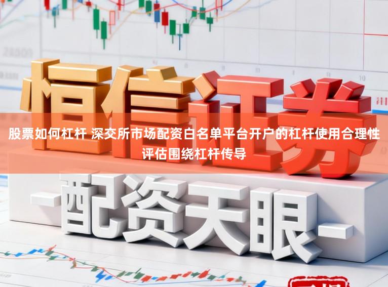 股票如何杠杆 深交所市场配资白名单平台开户的杠杆使用合理性评估围绕杠杆传导